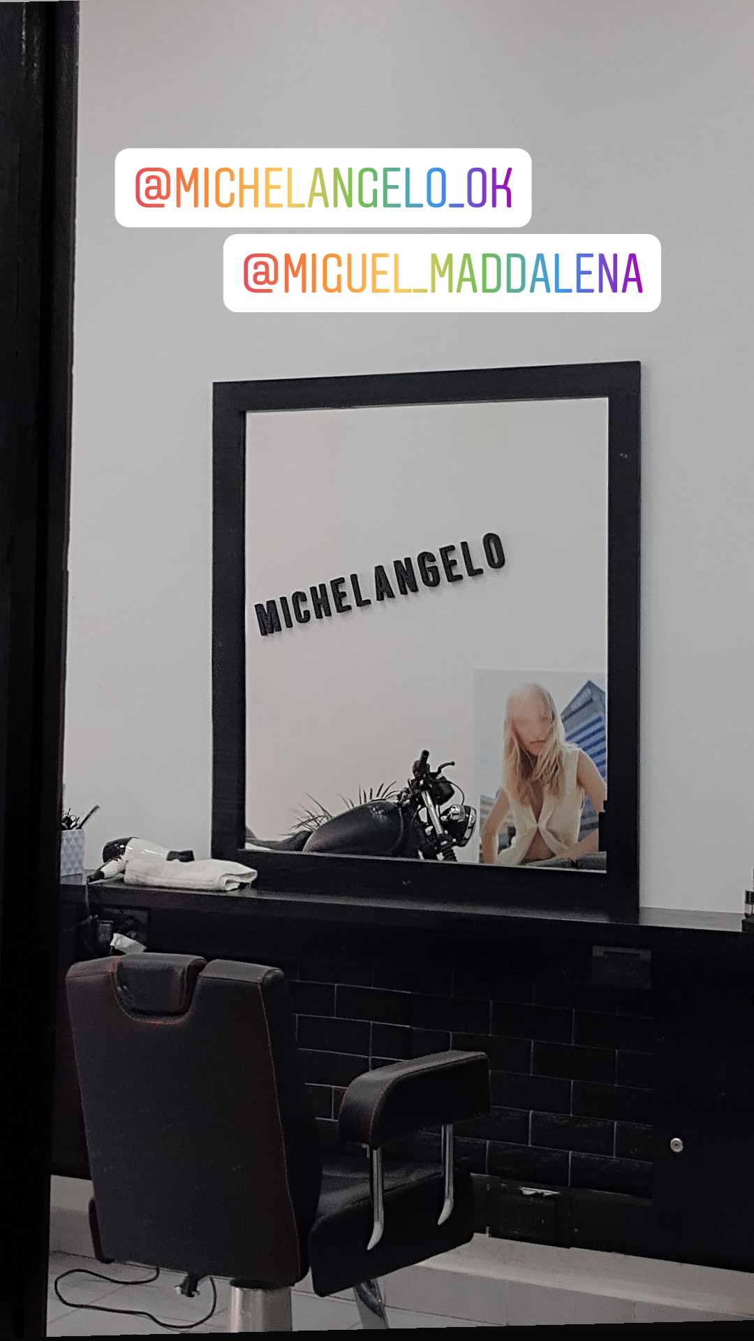 Productos de grooming premium de la marca Michelangelo